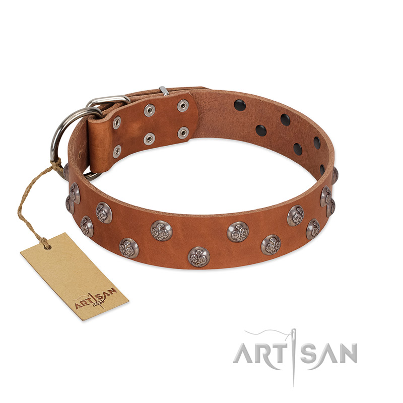 "Waltz of the Flowers" Handmade FDT Artisan Tan Leather Mastiff Collar with Chrome-plated Engraved Studs