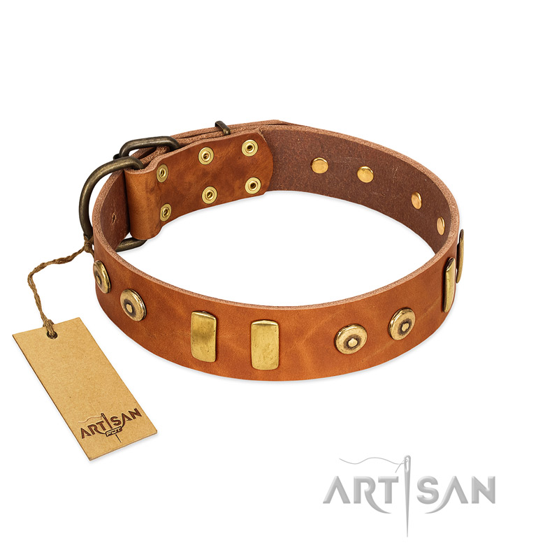 "Egyptian Script" FDT Artisan Tan Leather Mastiff Collar with Plates and Small Studs