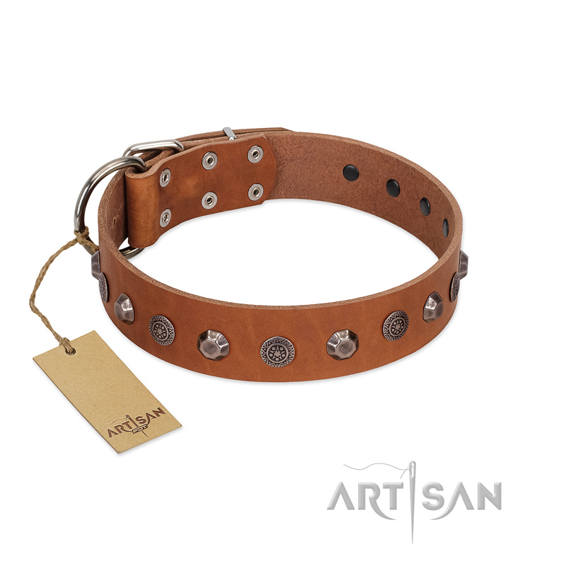 "Silver Age" Fashionable FDT Artisan Tan Leather Mastiff Collar with Silver-Like Studs