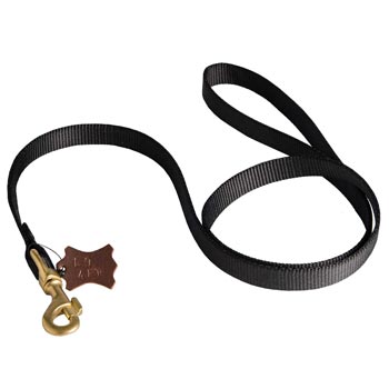 Walking Mastiff Leash