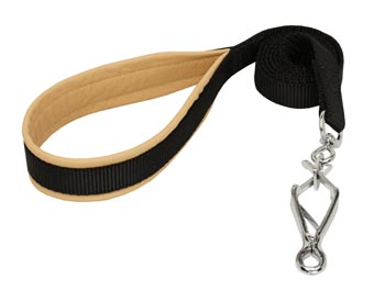 Mastiff Nylon Leash for Walking and Training