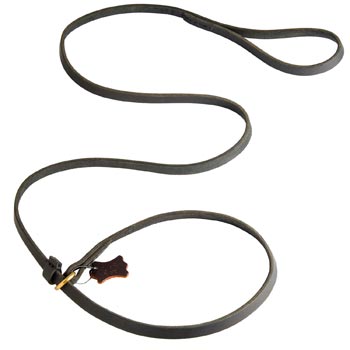 Best Choke Leather Mastiff Collar and Leash