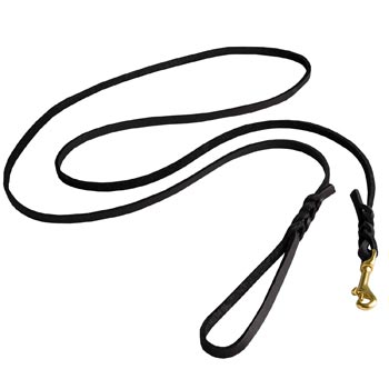 Best Walking Mastiff Leash Designer Supply for Walking in Style