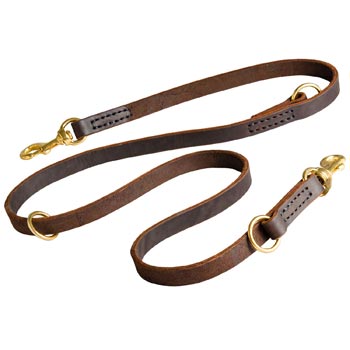 Leather Leash for Mastiff Everyday Walking