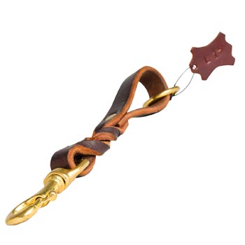 Leather Braided Leash for Mastiff Taking Out of Car