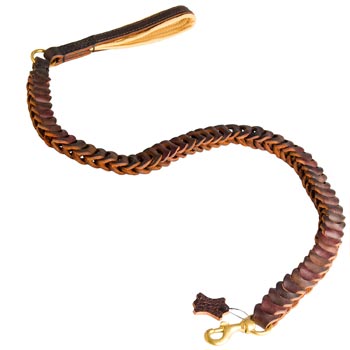 Mastiff Leash Leather for Successful Training