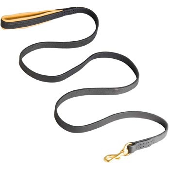 Padded Leather Mastiff Leash for Everyday Walking