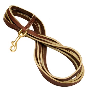 Tracking Brown Leather Mastiff Leash