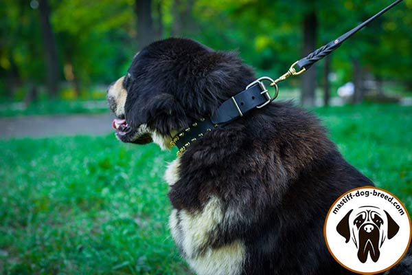 Mastiff leather leash with duly riveted hardware for better comfort