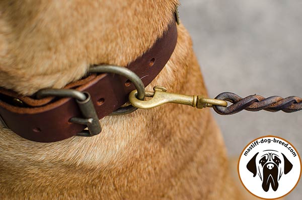 Mastiff leather leash with strong hardware for daily walks