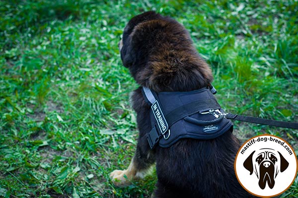 Mastiff nylon leash with non-corrosive hardware for tracking