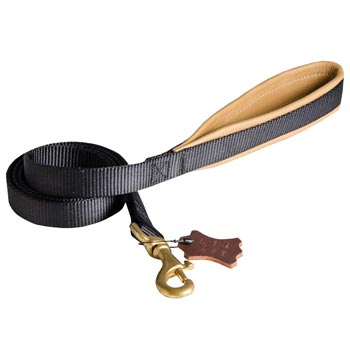 Everyday Nylon Dog Leash Destined for Police Tracking, Training Mastiff