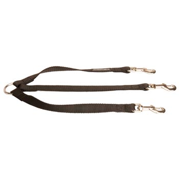 Triple Nylon Leash for Walking 3 Mastiff Dogs