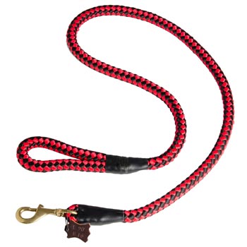 Mastiff Red Nylon Leash for Walking and Training
