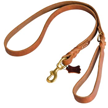 Canine Leather Leash for Mastiff