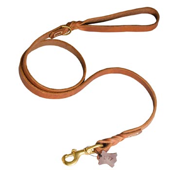 Training Leather Mastiff Leash with Handle