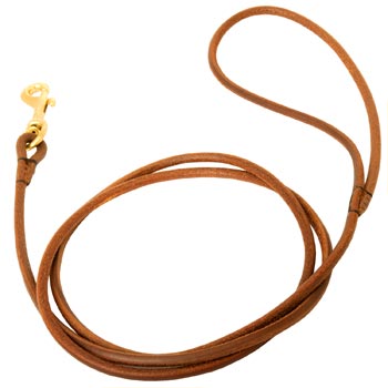 Leather Round Leash for Mastiff Elegant Look
