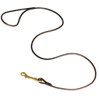 Leather Canine Leash for Mastiff Presentation at Dog Shows
