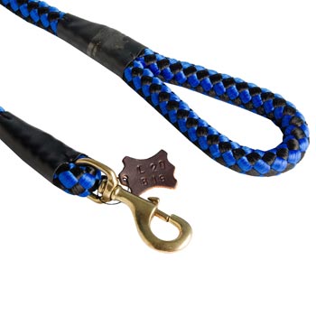 Blue Nylon Mastiff Leash 