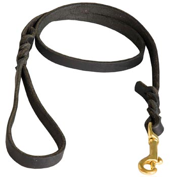 Training Leash for Mastiff