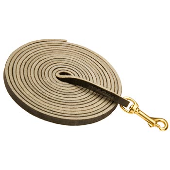 Training Leather Mastiff Leash