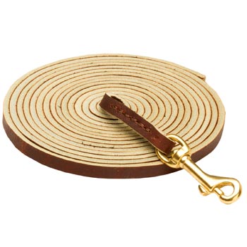 Tracking Brown Leather Mastiff Leash
