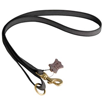 All Weather Nylon Leash for Mastiff Walking