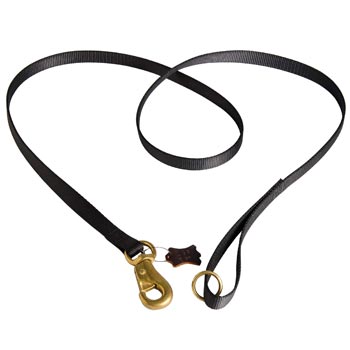 Dog Leash Nylon for Mastiff Everyday Walking 