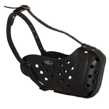 Training Leather Dog Muzzle for Mastiff