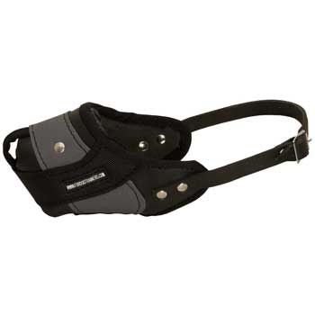 Mastiff Muzzle Leather and Nylon for Walking and Training