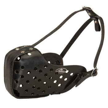 Mastiff Muzzle for Agitation Training