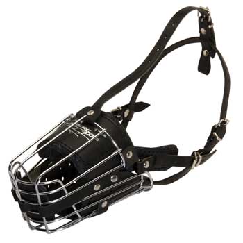Metal Basket Mastiff Muzzle for Dog Walking Training
