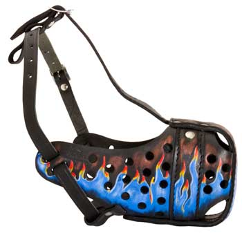 Mastiff Muzzle for Walking and Training