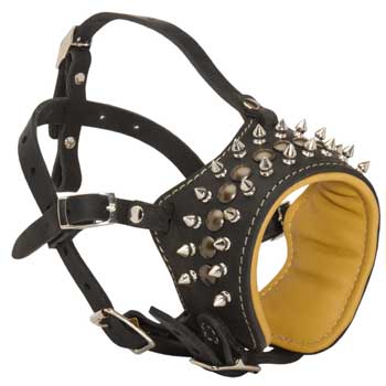 Walking Training Designer Black Dog Muzzle for Mastiff