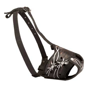 Training Muzzle for Mastiff