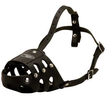 Anti Barking Mastiff Muzzle Leather for Walking Dog