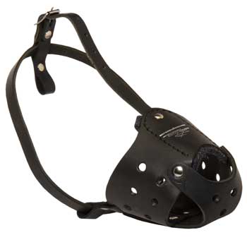 Walking Leather Muzzle for Mastiff