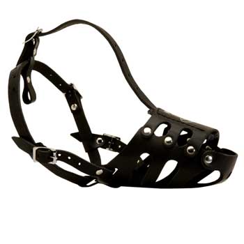 Leather Mastiff Well-Fitting Muzzle