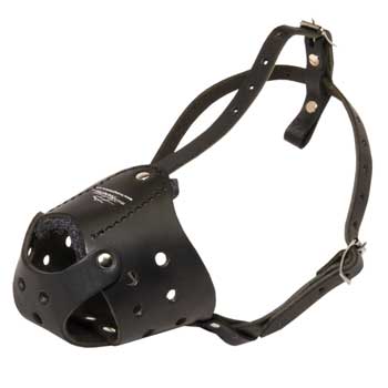 Light in Weight Anti-Barking Mastiff Muzzle