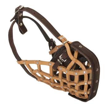 Mastiff Muzzle Leather Mesh for Walking and Training