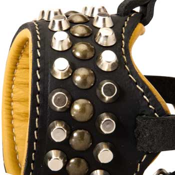 Nappa Leather Padded Mastiff for Dog Walking