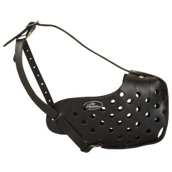 Safe Leather Muzzle for Mastiff Walking