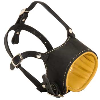 Adjustable Mastiff Muzzle Padded with Soft Nappa Leather for Anti-Barking Training