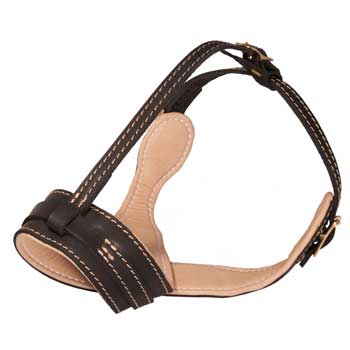 Leather Mastiff Muzzle Padded with Nappa Leather