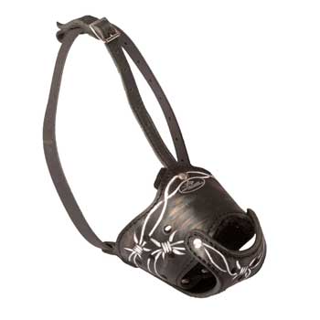 Anti-Barking Muzzle for Mastiff