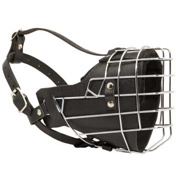 Padded on the Nose Mastiff Muzzle